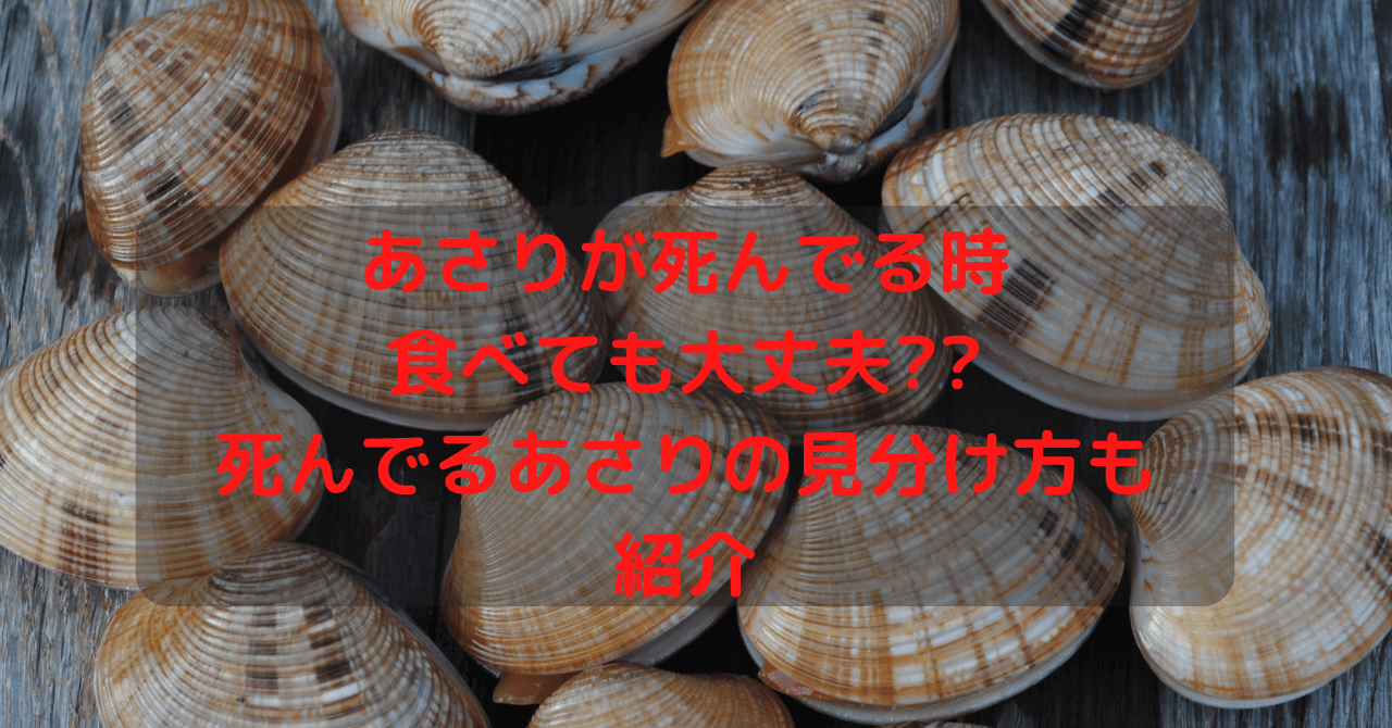 あさりが死んでる時食べても大丈夫 死んでるあさりの見分け方も紹介 豆ちし記